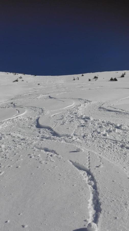 Ferienwohnung Wohlfahrter Bad Mitterndorf Kültér fotó
